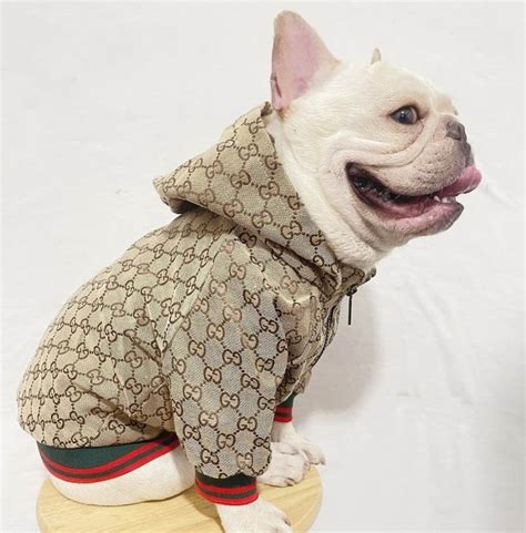 gucci dog line|gucci dog clothing.